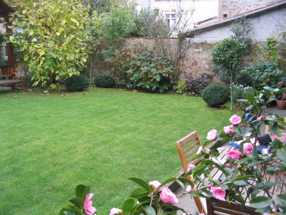 gazon-paysagiste-limoges-1-e1485789083391